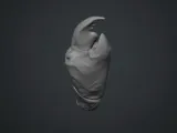 爪と貝殻-2