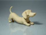 Dachshund-3
