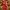 Santa Claus Christmas decoration