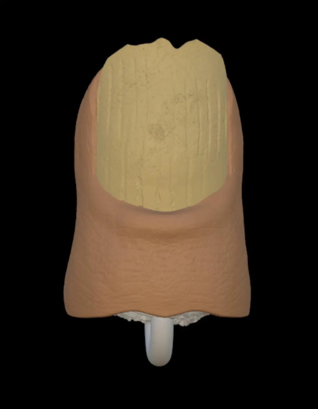 Toe Stl File Other STL Download - Bigfoot Toe by malbel studio