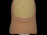 Bigfoot Toe -7