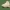 Calçado desportivo