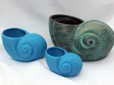 A Shell Shaped Plant Pot -0