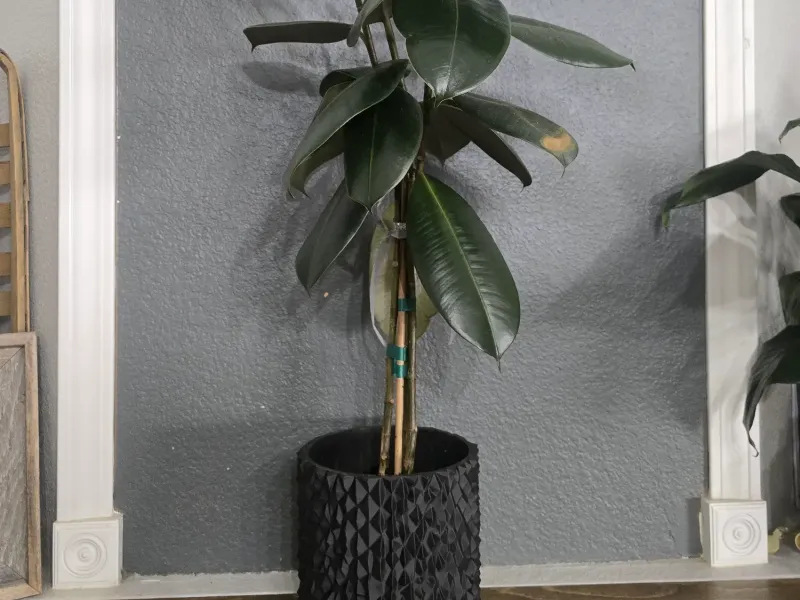 modern flower pot