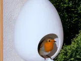 The EGG Bird House-0
