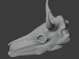 Bull Skull-6