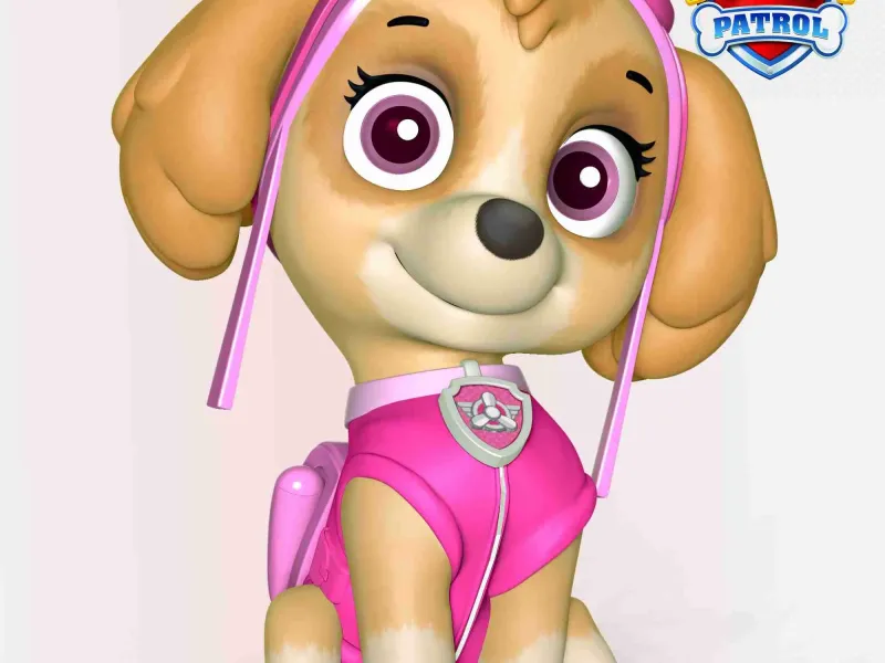 Skye PAW Patrol