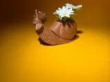 Snail decorative pattern-3