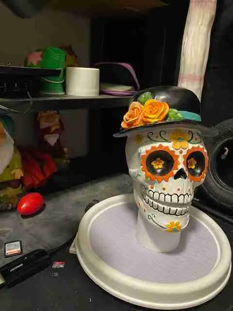 Calavera del Día de los Muertos