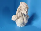 Winter Predator-1
