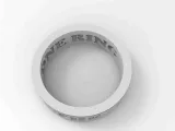THE ONE RING fidget ring-1