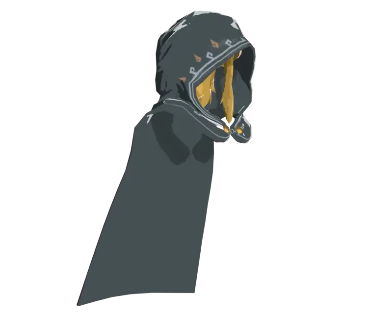 Hylian Hood