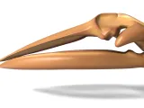 Fin Whale Skeleton – Massive Realistic Marine Animal 3D Mode-6