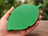 Aura Leaf Organizer-5