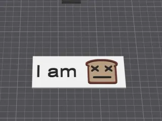 I am toast
