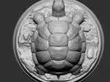 TORTOISE-5