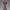 Kurenai Yuhi Elegant Glamour Pose Collectible Figurine