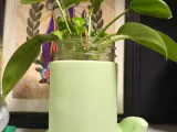 Frog Planter-3