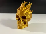 Flame Skull-2