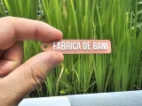 Portachiavi FabricaDeBani-1