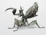 MANTIS-4