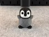 Tenero pinguino-5