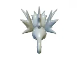 Pokemon Seadra #117 - Ready for 3D Printing!-2