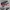 Softbait swim bait mold