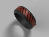 Anillo-2