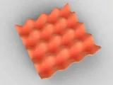 Egg Tray-2