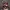 Anime Girl