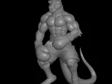 boxer kangaroo design-0