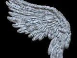 Wing pendant 2-6
