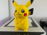 pika pika-3