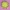 daisy flower mold