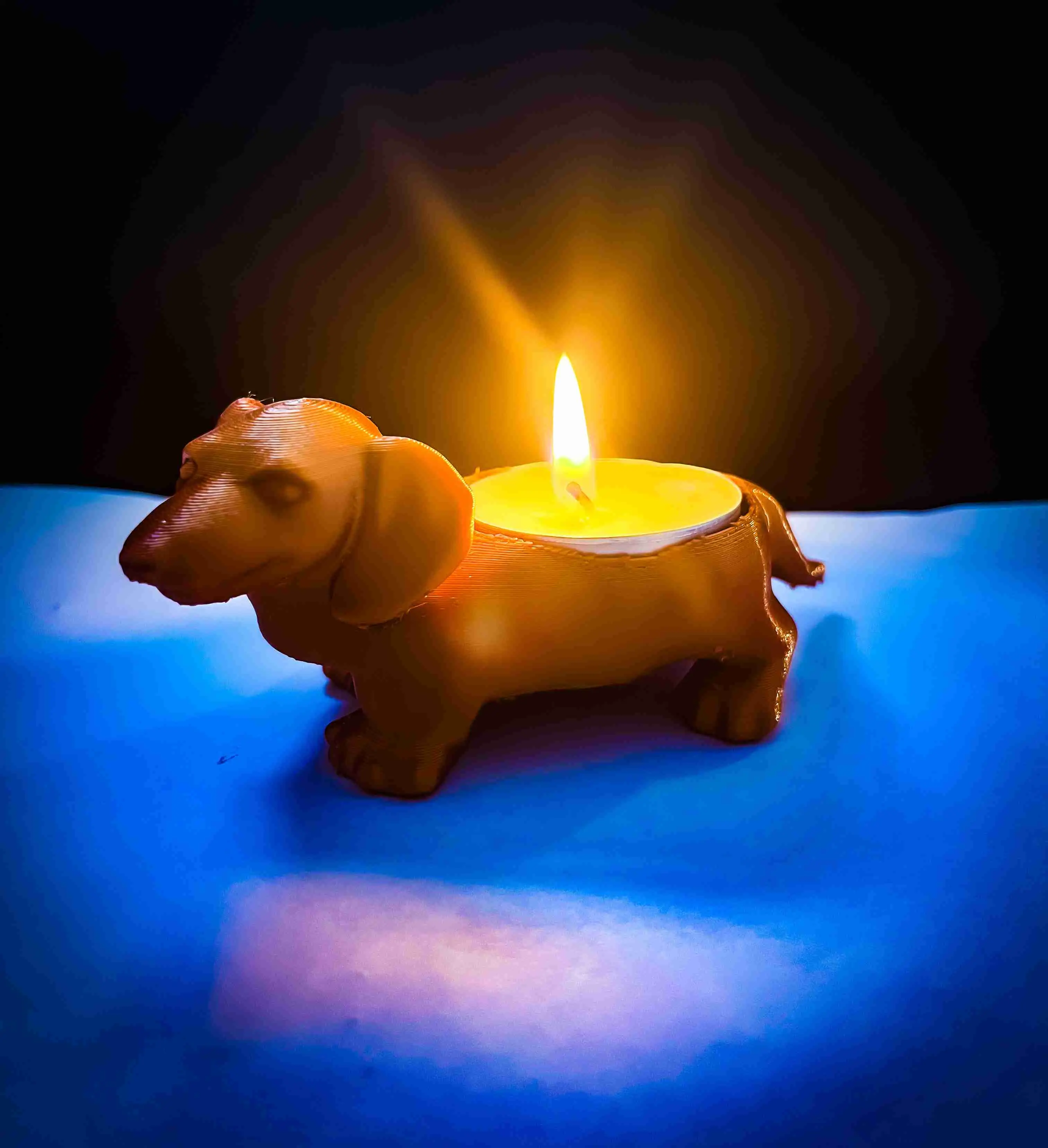 Dog candle