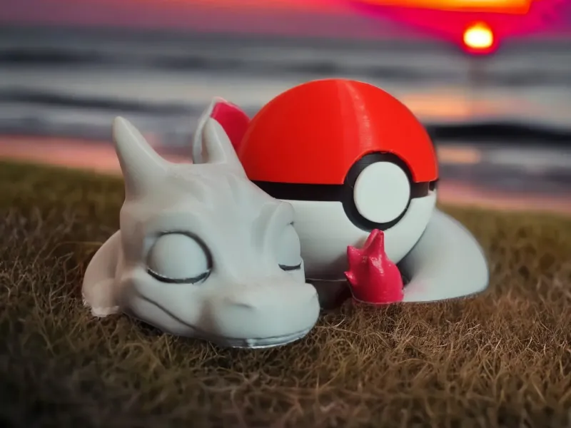 Sleeping Charizard + Pokeball ( Support Free )