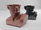 David Planter-5