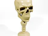 Skull candle 2-0