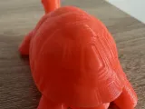 Turtle-3