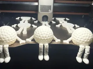 Golf ball buddy