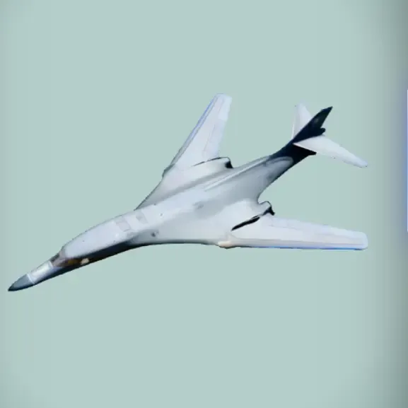 B1
