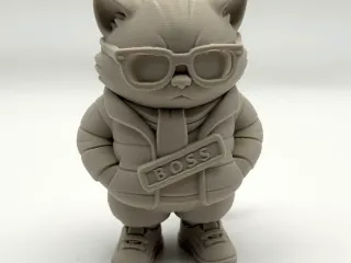 Cool Winter Kitten