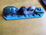 Life Cycle of a Beetle – Educational Dung Beetle Metamorphosis-3
