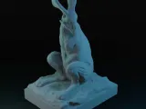 Rabbit - Coelho-0