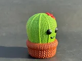 Cactus de punto-2