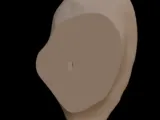 Human Ear -2
