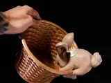 Curious Bunny - Easter Basket-5