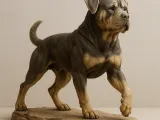Rottweiler -0