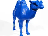 Funny camel-4